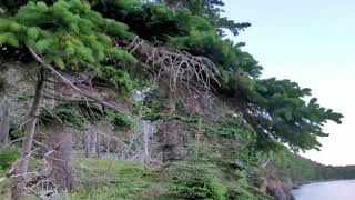 2 Random Minutes in Maskells Harbour NS Canada [upl. by Krid325]