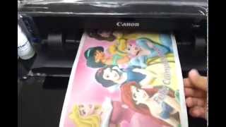 impresora canon ip 7210 con tinta comestible y papel de arroz [upl. by Aileve116]