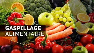 La lutte contre le gaspillage alimentaire à Montréal [upl. by Llatsyrc]