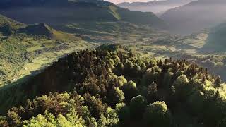 Les Pyrénées secrètes  LA DISCRÈTE DU PIÉMONT LA GENETTE  teaser [upl. by Ballou]