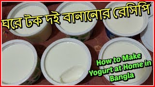 ঘরে টক দই বানানোর রেসিপি  How to Make Yogurt at Home in Bangla [upl. by Ellerehs392]