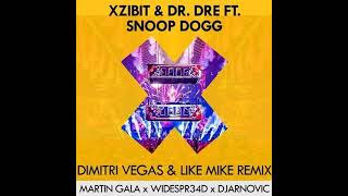 Xzibit  X DVampLM Bootleg by Widespr34d Djarnovic Martin Gala Reverb Version by Yuriy Trysh [upl. by Ahsinaw567]