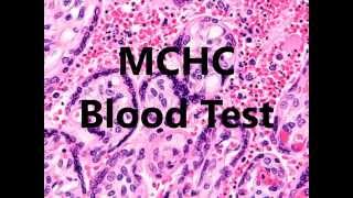 MCHC Blood Test Low High In A Complete Blood Count [upl. by Aitercal]