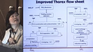 Li Qingnuan  Thorium Molten Salt Reactor TMSR Fuel ProcessingReprocessing  ThEC12 [upl. by Stephannie]