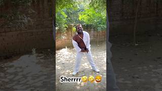 Sherr hua pagal😂🤣🦁 sherr comedy comedyfilms funny sher comedymovies trendingshorts funny [upl. by Cerallua]