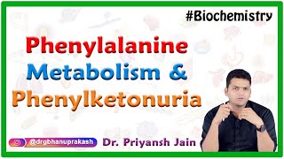 Phenylalanine metabolism and Overview of phenylketonuria  Medical Biochemistry  Dr Priyansh jain [upl. by Ellesor]