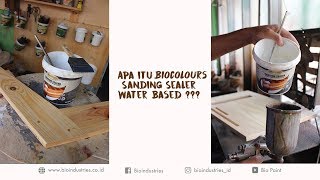 BioColours Sanding Sealer [upl. by Caspar]