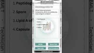 Microbiology MCQ 45  labtestsguide microbiology mcqs [upl. by Nylednarb]