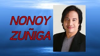 Doon Lang  NONOY ZUNIGA Karaoke [upl. by Suciram]