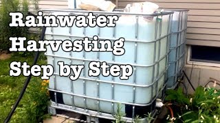 Rainwater Collection  Step by Step installation of IBC totes [upl. by Enerol]