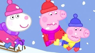 Koude Winter Dag ⛄ Tekenfilm  Peppa Pig Nederlands Compilatie Nieuwe [upl. by Ianahs571]