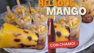 Mangonadas con Chamoy  Paletas de mango y chamoy [upl. by Nitsraek221]