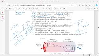 hydrostatic and oncotic pressures [upl. by Alguire]