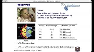 Immunogen Structure and Production Method as Determinants for Vaccine Quality [upl. by Elva464]