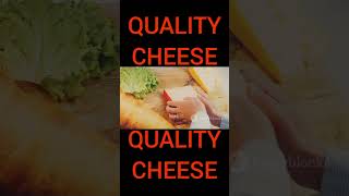 QUALITY CHEESE Shorts [upl. by Aneema]