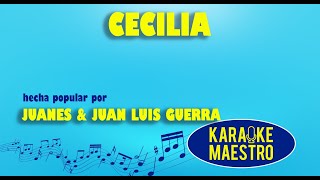 Cecilia  Juanes amp Juan Luis Guerra [upl. by Eltsyek]