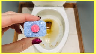 Put a Dishwasher Tablet in your Toilet Bowl amp WATCH WHAT HAPPENS 6 Genius Uses  Andrea Jean [upl. by Humberto574]