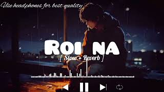 Roi Na Lofi song  SlowedReverb   ninja ‎LOFIMusic0304 [upl. by Ryder637]