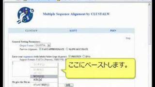CLUSTALWで配列のアラインメントを作成する [upl. by Allegna158]