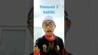 hamood hamood hamood habibi [upl. by Allx402]