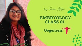 Embryology Class 01  Gametogenesis  Oogenesis  Bangla Demonstration of Oogenesis [upl. by Ajiam911]