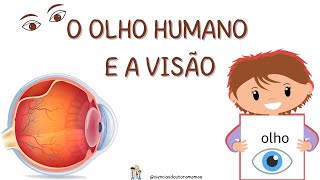 O olho humano e a visão 6 ano [upl. by Rudolfo]