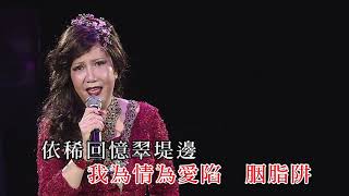 麗莎丨絲絲淚丨最愛麗莎全經典演唱會 [upl. by Ely]