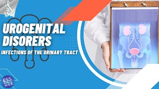 4 Urogenital Disorders Infections of the Urinary Tract  عدوى الجهاز البولى [upl. by Oinoitna679]