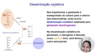 Catabolismo de Aminoácidos em Animais [upl. by Iddo]