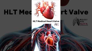 HLT Medical Heart Valve medical animation 3d short [upl. by Allyce]