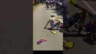 Calmejane Crash caused by spectator Tour de France 2023 stage 9 shorts [upl. by Cirala]