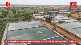 VISITE DU MINISTRE YOUBA BA DANS LA FERME « Société Agricole Dadougoura Nietassoba » [upl. by Wendelina]