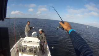 Winter Fishing Shell Beach Bass amp Sheephead [upl. by Harihat291]