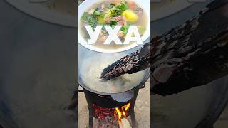 ВКУСНЕЙШАЯ УХА НА КОСТРЕ ИЗ СВОЕЙ РЫБЫ ИЗ ПРУДА Уха из форели в казане Fish soup уха [upl. by Romito386]