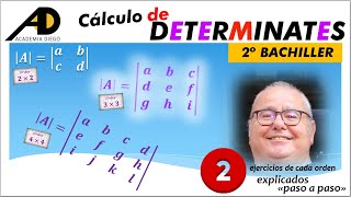 Calculo de DETERMINANTES ACADEMIADIEGO [upl. by Artina]