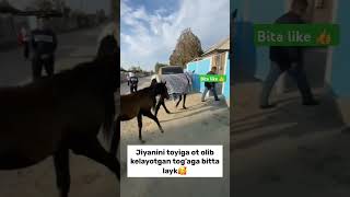 JIYANI UCHUN OT SOVGA QILDI😱 musicgenre funny [upl. by Dnomed]