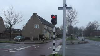 Spoorwegovergang Zwolle  Dutch Railroad Crossing [upl. by Amadeus]