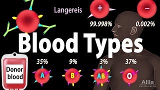 Blood Types Blood Group Systems and Transfusion Rule Animation [upl. by Eugen]