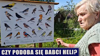 Czy podoba się babci Heli [upl. by Aniham]