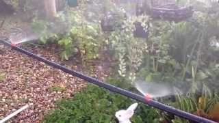 DIY Mini Sprinkler Orange 180 Watering in Garden Lawn Misting 7 [upl. by Marentic671]