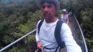 Volcan Tenorio National Park  Rio Celeste Celeste Waterfalls  Costa Rica [upl. by Adore]