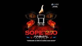 DJ Animal  Sopeteo 27 [upl. by Aneehsyt]