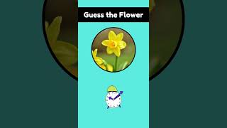 Guess the flower by image quiztime shorts [upl. by Llerref]