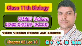 Class 11th Biology Lec 13 ll Virus Viroids Prions and Lichens [upl. by Ueihttam]