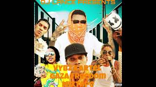 DJ Lance Vybz Kartel Gaza Freedom Mixtape [upl. by Monney]