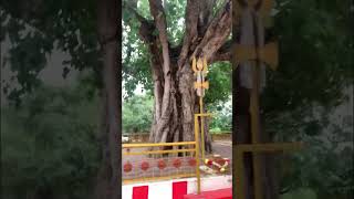 Moongilanai kamatchi Amman devathana patti theni travel tamilnadu [upl. by Devland]