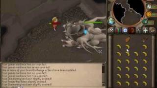 Runescape Corporeal Beast Guide [upl. by Clite]