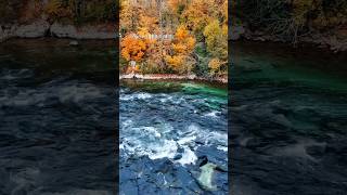 Rhinefalls in autumn switzerland switzerlandswiss swissbeautyyoutubeshorts viralshortstrending [upl. by Georgy]