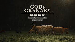 Gods Granary Beef  Organic Grass Fed [upl. by Ahgiela]