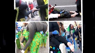 Fasnet clips compilation [upl. by Ellehsem]